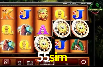 A Emoção da Loteria na 55sim: Uma Chance de Mudança de Vida